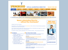 Advertising: Website for Springboard Virtual Marketing Director