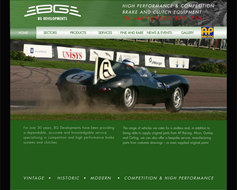 Advertising: Website for a CMA client